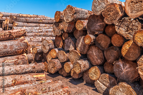 A Lumber Mill at the Gunflint Trail in northern Minnesota.