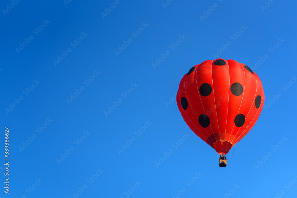 Obraz premium Colorful hot-air balloons flying in blue sky