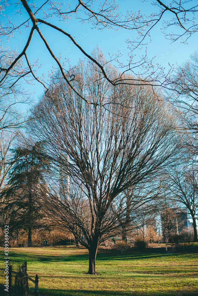 Obraz premium New York City, NY, USA - 04/08/2019: Central Park