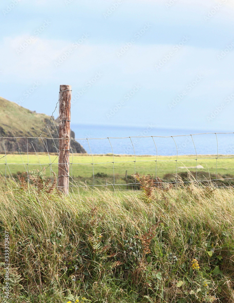 Fototapeta premium Countryside by ocean