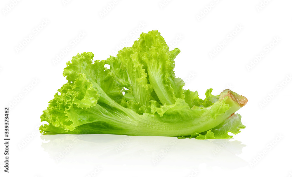 Lettuce leaf isolated on white background ,Green leaves pattern ,Salad ingredient Lettuce leaf isolated on white background ,Green leaves pattern ,Salad ingredient