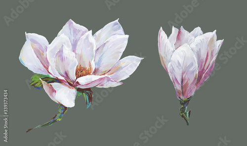  Hand painted magnolia flower
