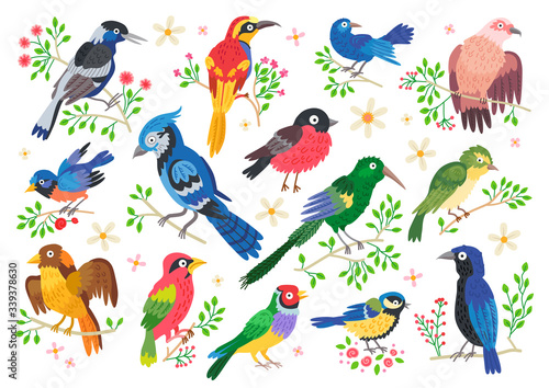 Set of forest birds. Vector cartoon songbirds © Pictulandra
