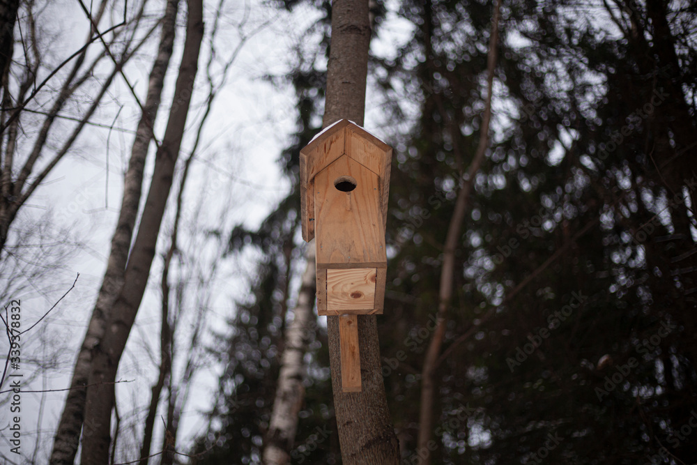 Bird feeder on a tree.