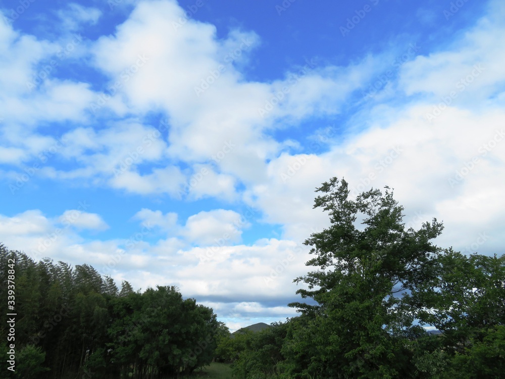 日本の田舎の風景　6月　山と青空