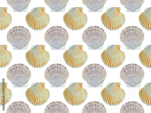 Shells of scallop, seamless pattern.