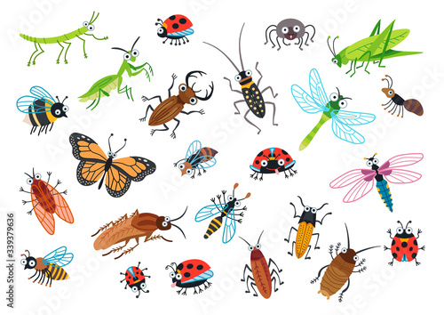Big set of cartoon beetles. Vector illustration.