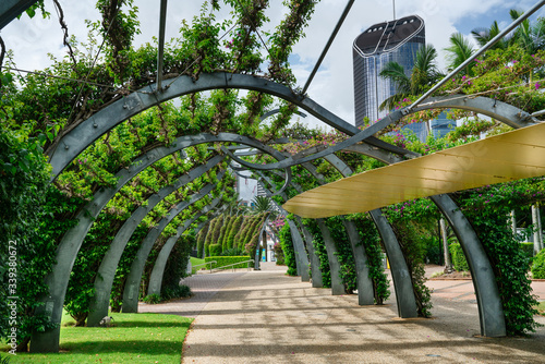 Southbank river city Brisbane Grand Arbor flower arch in summer with no flowers photo