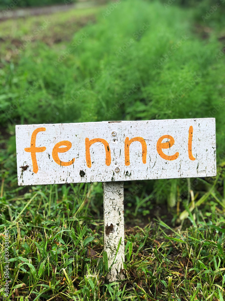 Garned sign with Fennel