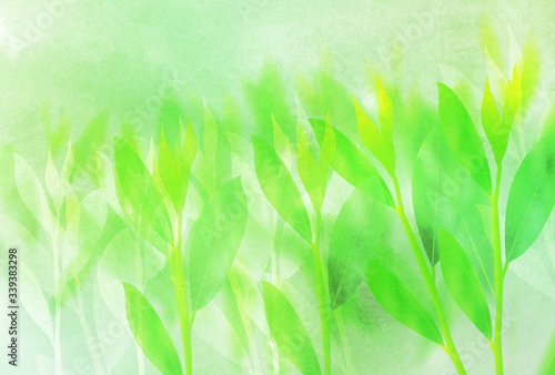 お茶　水彩　新緑　背景