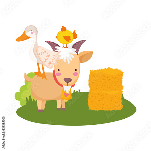 farm animals goose chicken in goat hay with arrow sign cartoon