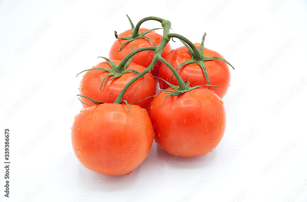 fresh tomato on white background