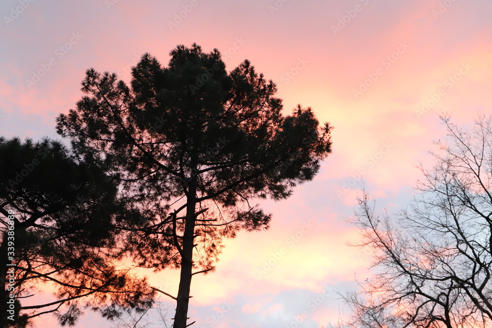 paysage au crépuscule ciel  multicolore