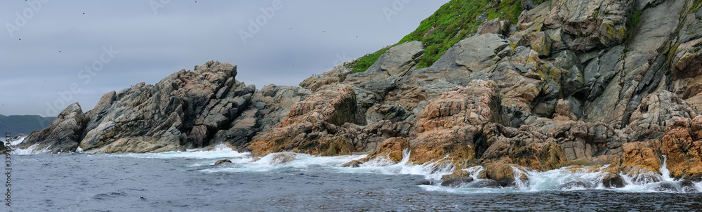 Panorama of seabirds and surf on the rocky coast of Twillingate Island Newfoundland