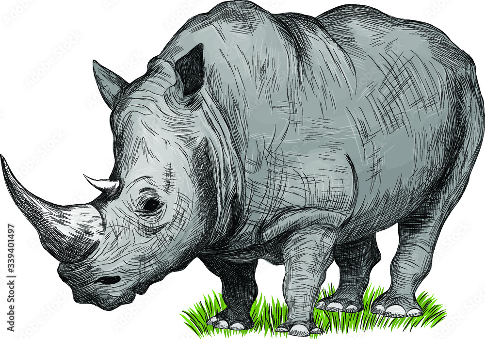 Fototapeta premium grey Rhino animal Safari vector