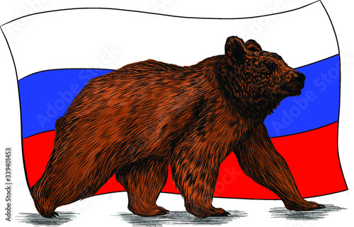 brown bear cute funny Russia