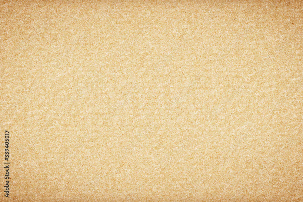 Fototapeta premium cardboard texture or background