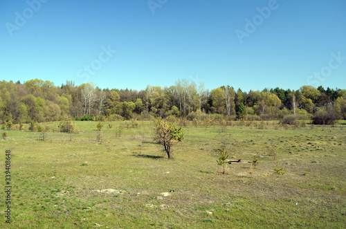 Eastern Europe spring landscape. Poltava Region