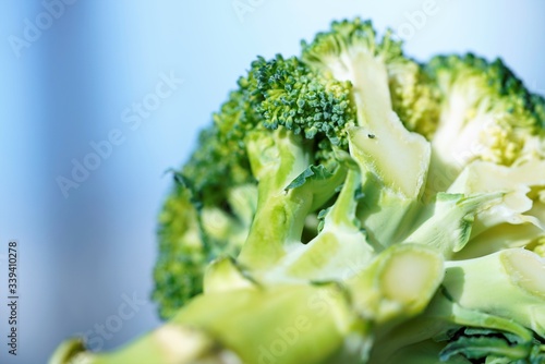 fresh broccoli on white background