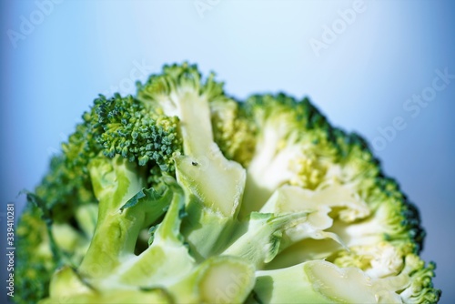 broccoli slice on a white background