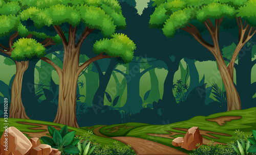 Deep forest scene with trail in the woods illustration