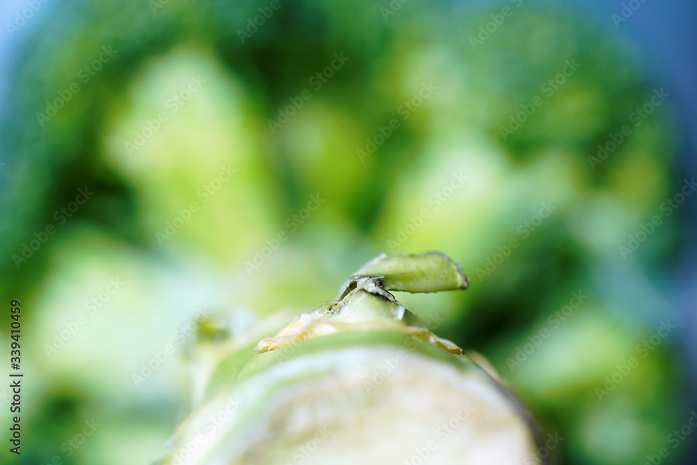 green broccoli stump on a blurred broccoli head background green broccoli stump on a blurred broccoli head background