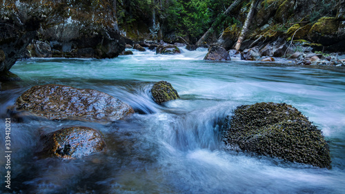 River in the forest.