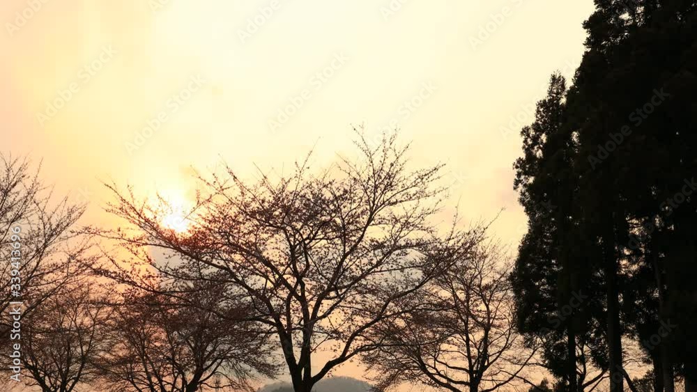 夕日 太陽の光 夕日 太陽の光