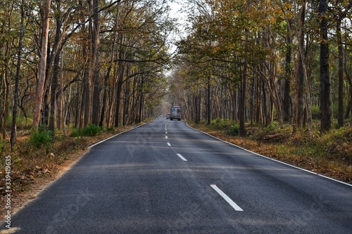 Wallpaper Mural road in the woods Torontodigital.ca