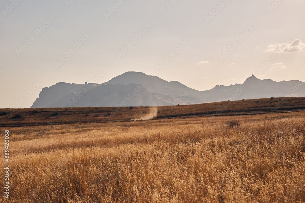 Golden field against the background of mountains