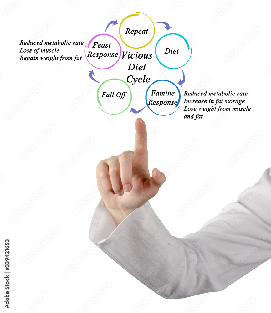 Steps in Vicious Diet Cycle
