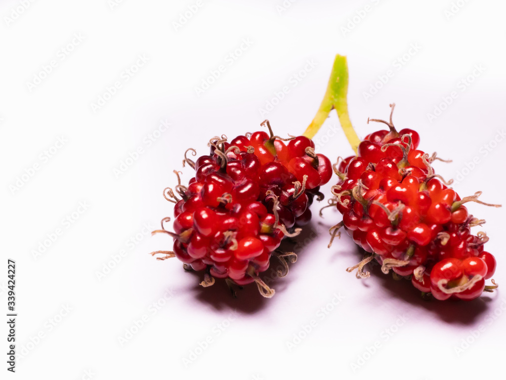 Mulberry was taken in a white background. Mulberry was taken in a white background.