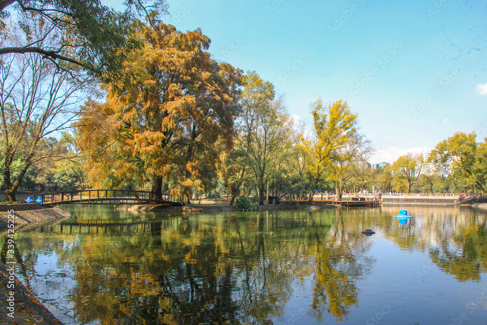 Fototapeta premium autumn landscape with lake