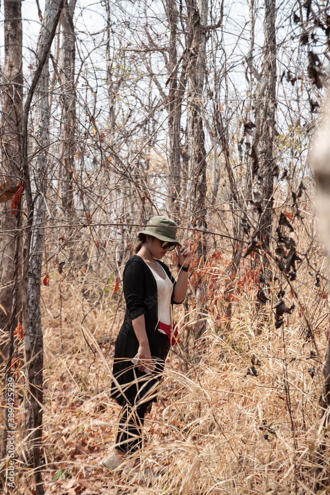 Thai girl solo traveler in the forest Thai girl solo traveler in the forest