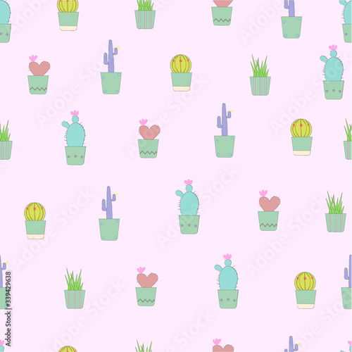 cactus,cute,flowers,pink cactus,green cactus,heart cactus,plant,saguaro, haworthia limifolia ,Echinocactus grusonii,