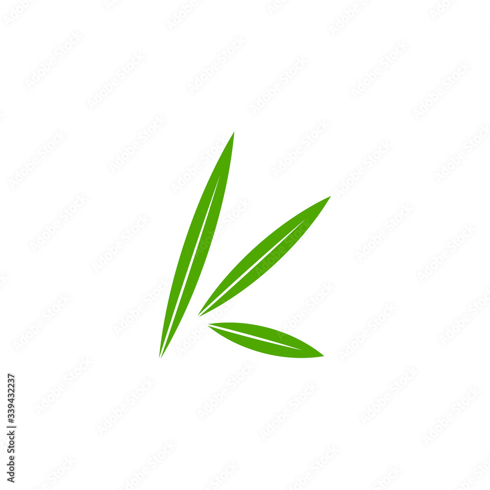 letter k green leaf motion simple geometric symbol logo vector