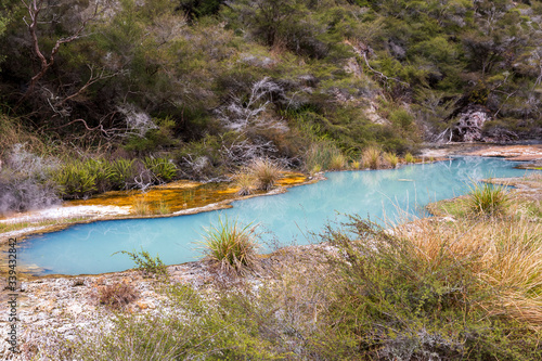 Hot springs at Waimangu geothermal park in New Zealand. photo