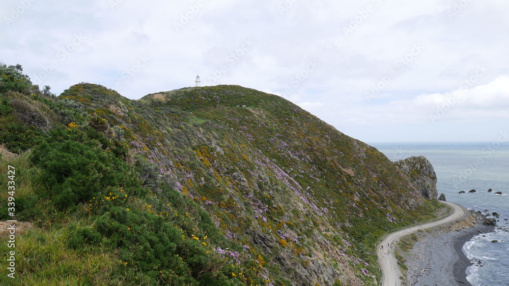 path to the sea