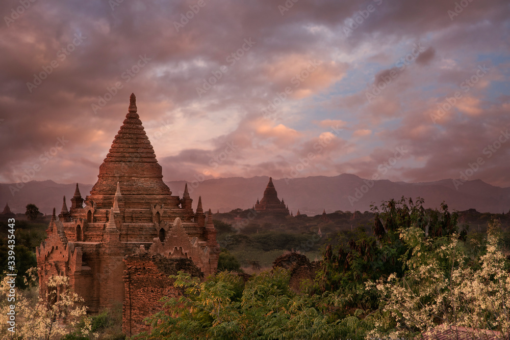Landscape in the morning light of a Buddhist temple with tree in flower in Bagan, Myanmar