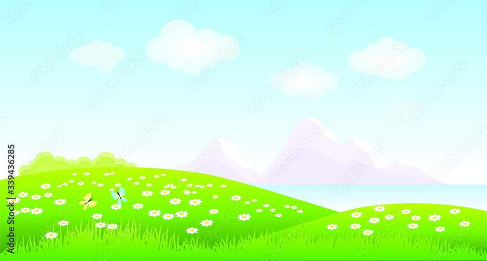 Landscape with grass, daisies, butterflies. Vector illustration.