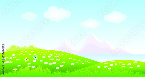 Landscape with grass, daisies, butterflies. Vector illustration.