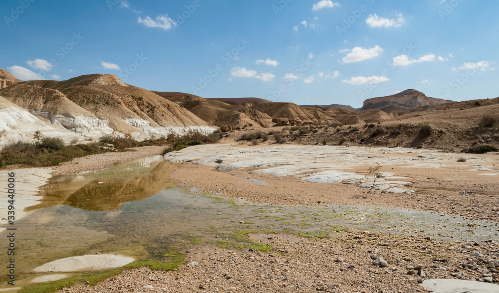 a seasonal pool in the akev stream bed in the zin valley in israel showing green pond scum and chalk layers in the soil with desert mountains in the background