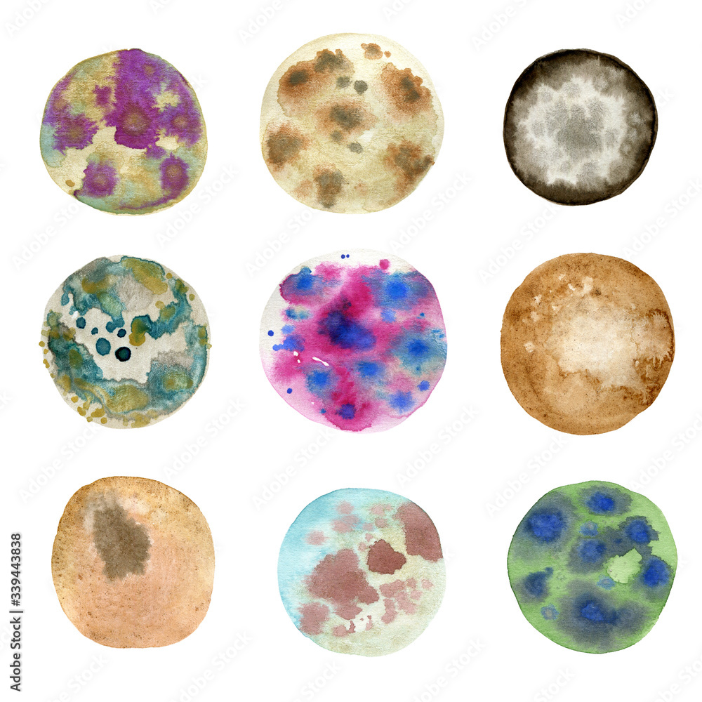 circles with mold, petri dish