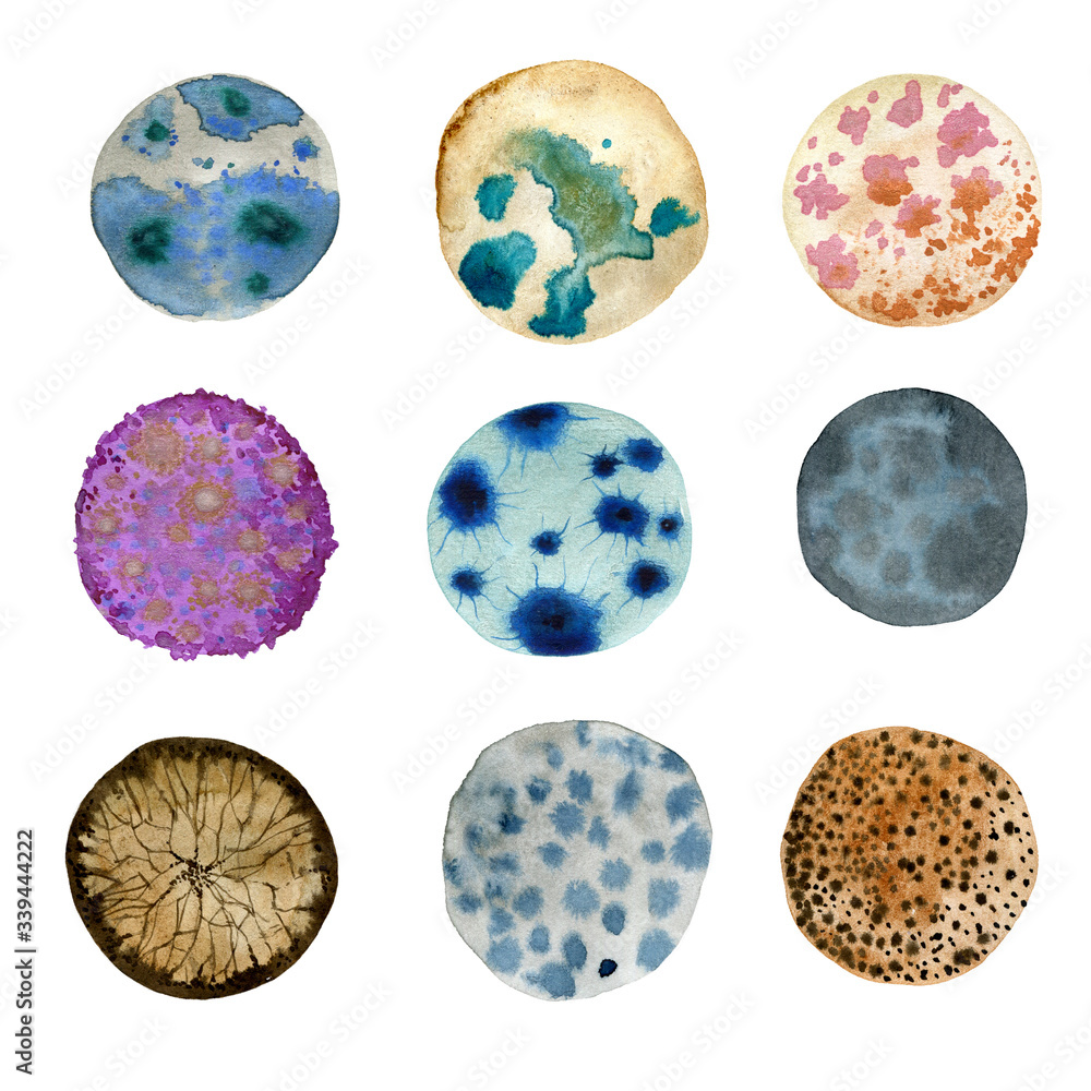 watercolor circles with bacteria, mold, and fungi