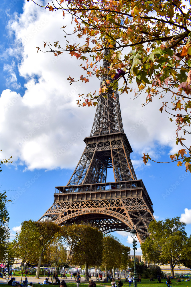 Eiffel Tower with autumn leaves and blue sky in Paris, France