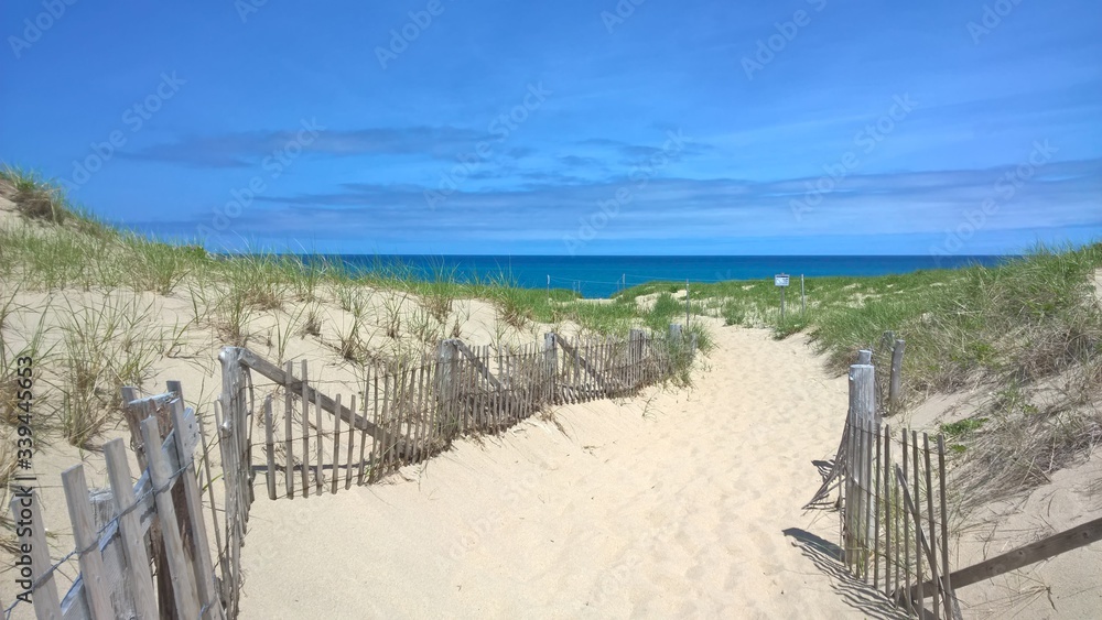 sand dunes and fence