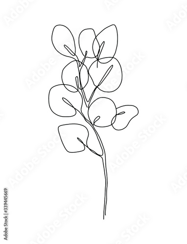 Outlined illustration of a penny gum eucalyptus 