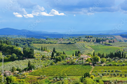 Fototapeta Naklejka Na Ścianę i Meble -  Rural landscape of Tuscany Italy