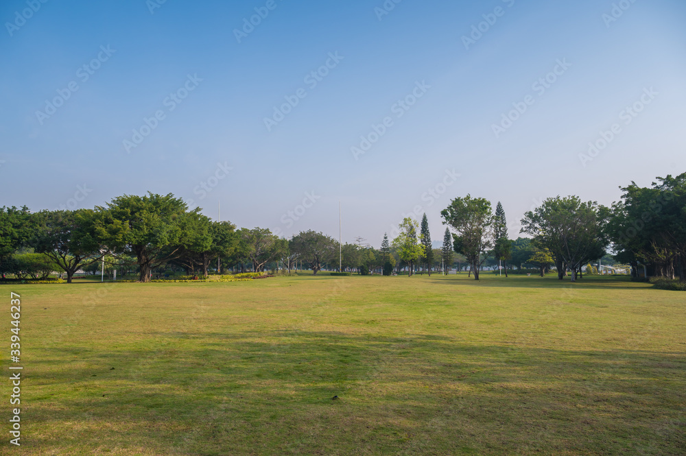 The open grassland landscape of the park