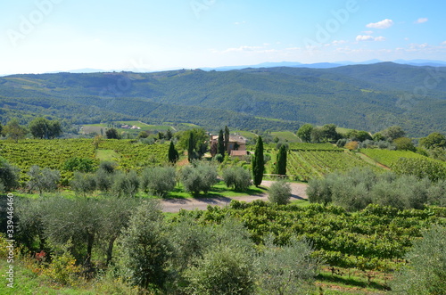 idyllic scenery in Tuscany Italy